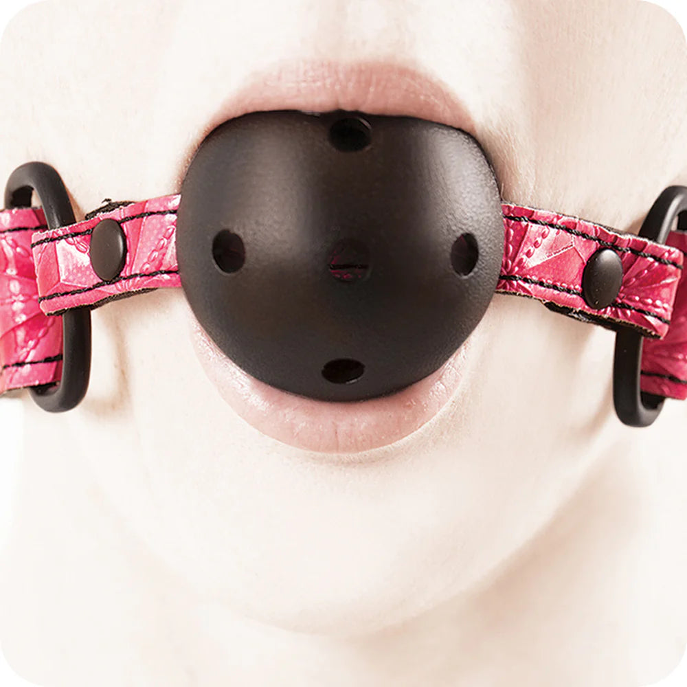 Sinful Ball Gag in Pink – Winnipeg – packaging view