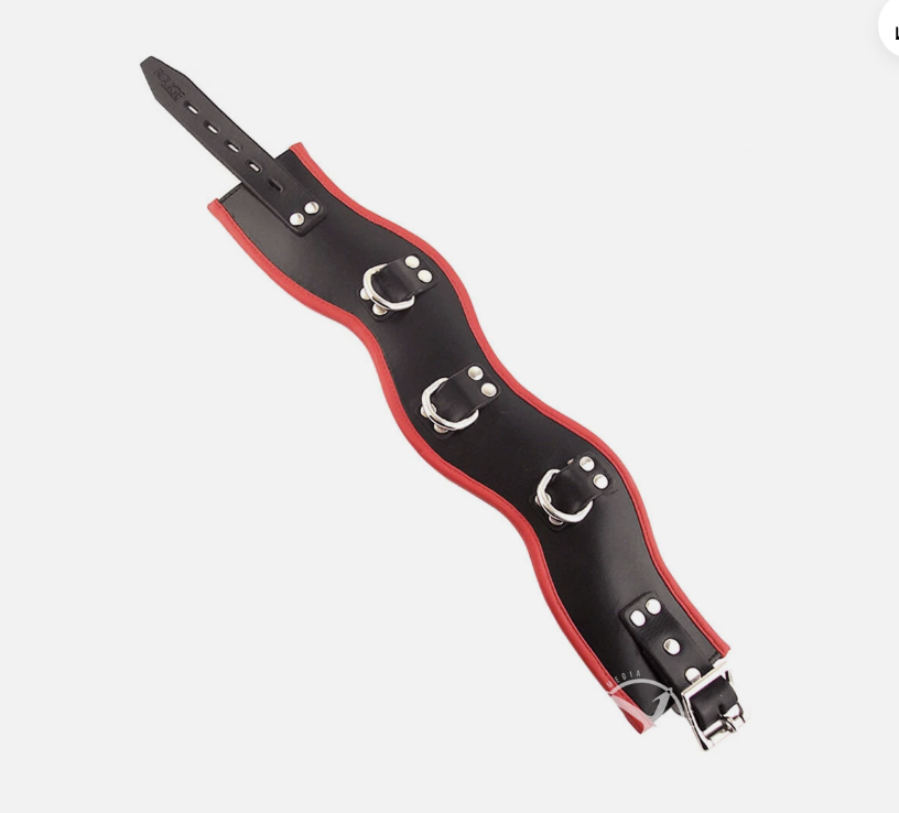 Rouge Posture Adjustable Collar 3 Ring - Black/Red — buy in Winnipeg | Heaven Boutique