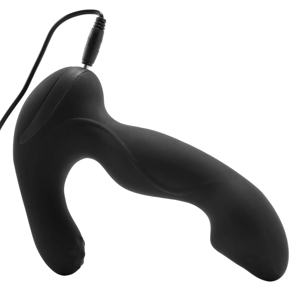 Anal-Ese Rotating Prostate Massager — buy in Winnipeg | Heaven Boutique