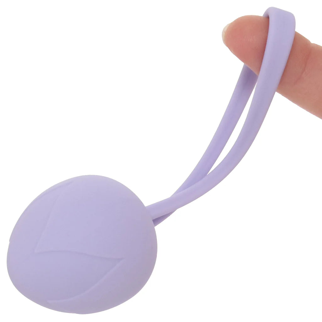 Loveline Pelvifit Berry Kegel Kit – Winnipeg – packaging view