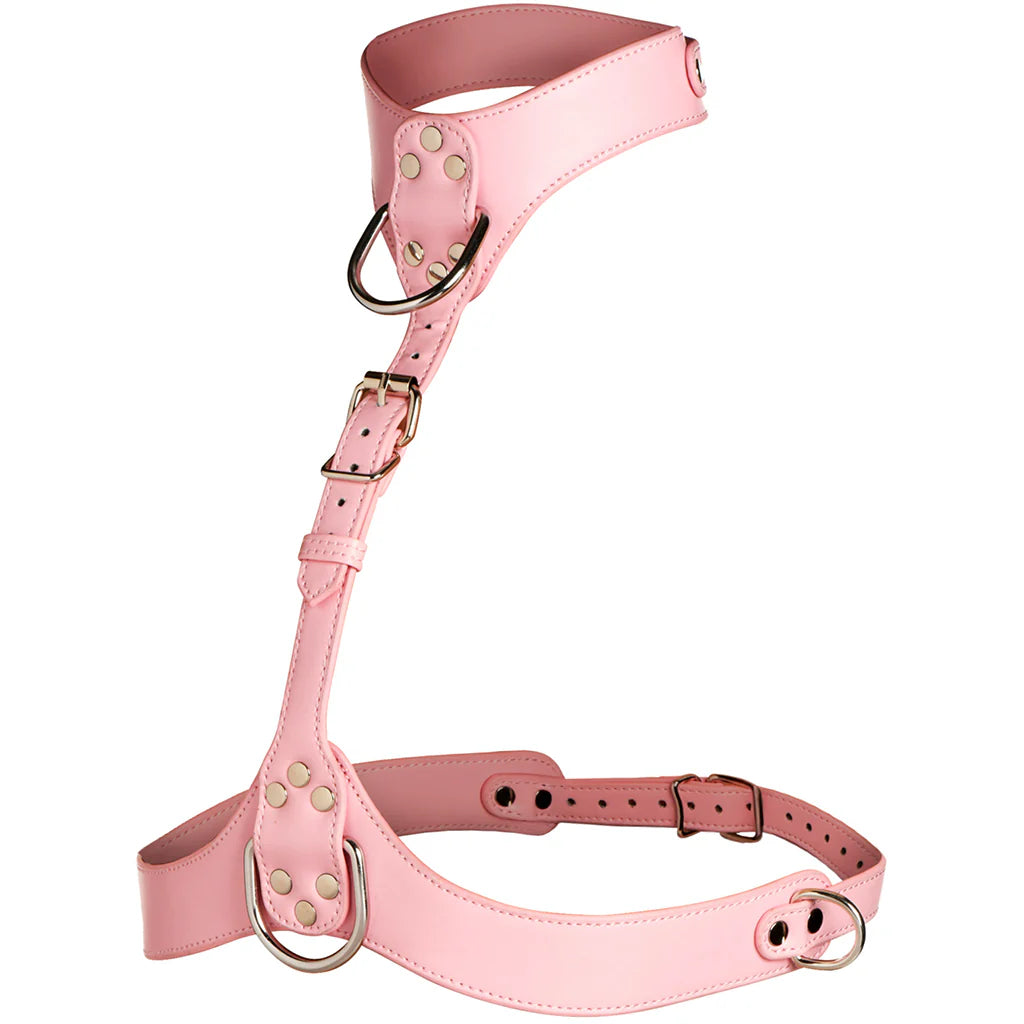 Master Series Vixen Chest Harness in Pink – Winnipeg adult store – close-up view