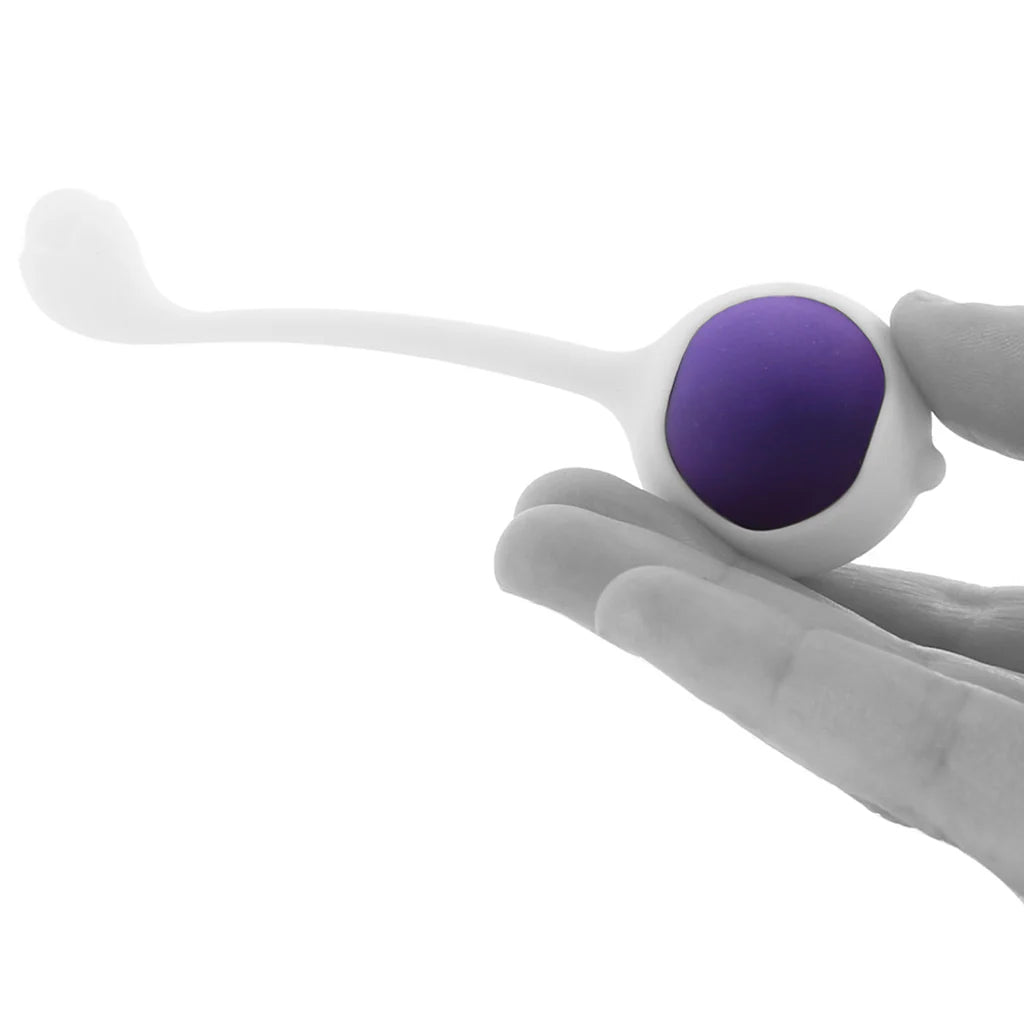 Wellness 3 Step Progressive Kegel Training Kit – Winnipeg adult store – close-up view