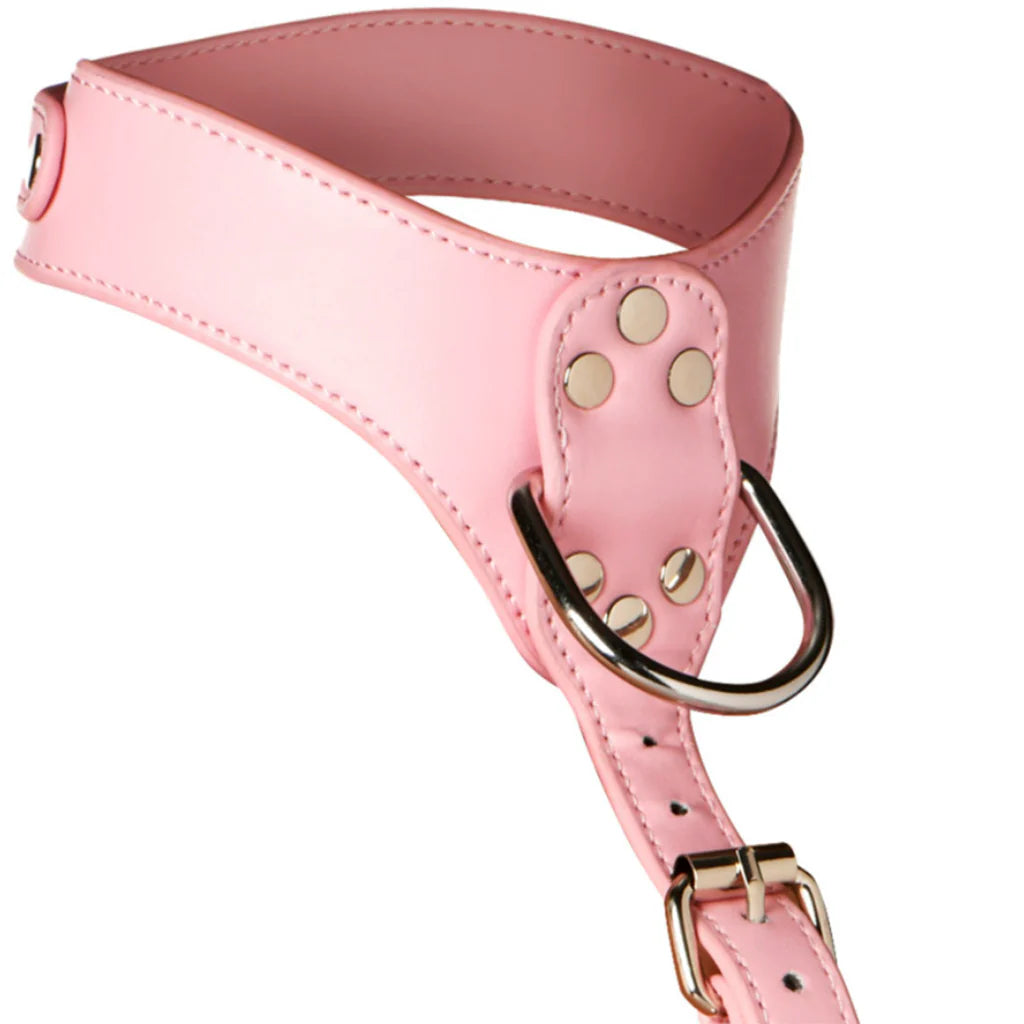 Master Series Vixen Chest Harness in Pink – Winnipeg – packaging view