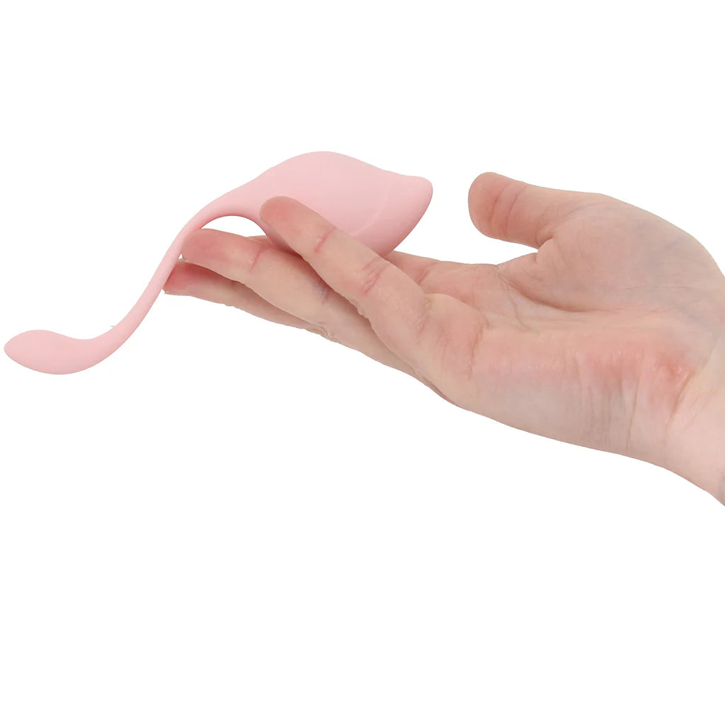 Loveline Pelvifit Stem Kegel Kit – Winnipeg adult boutique – features