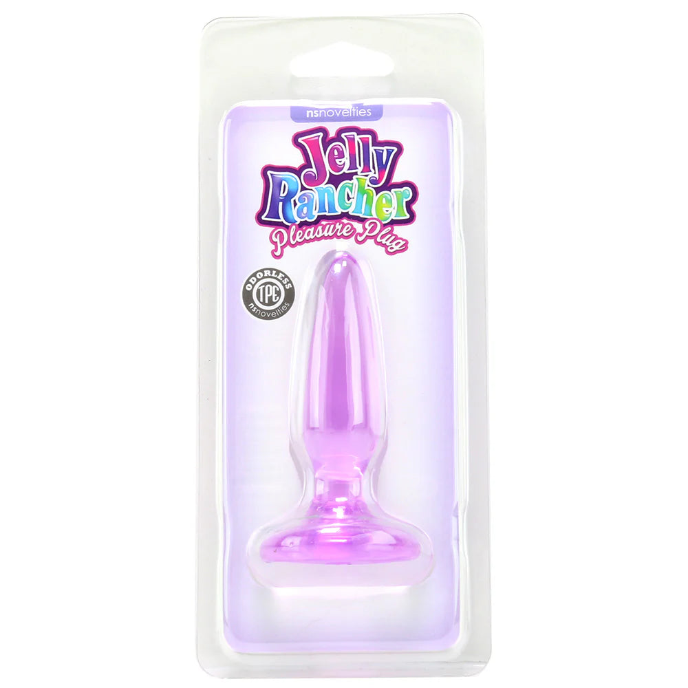 Jelly Rancher Mini Pleasure Plug in Purple — buy in Winnipeg | Heaven Boutique