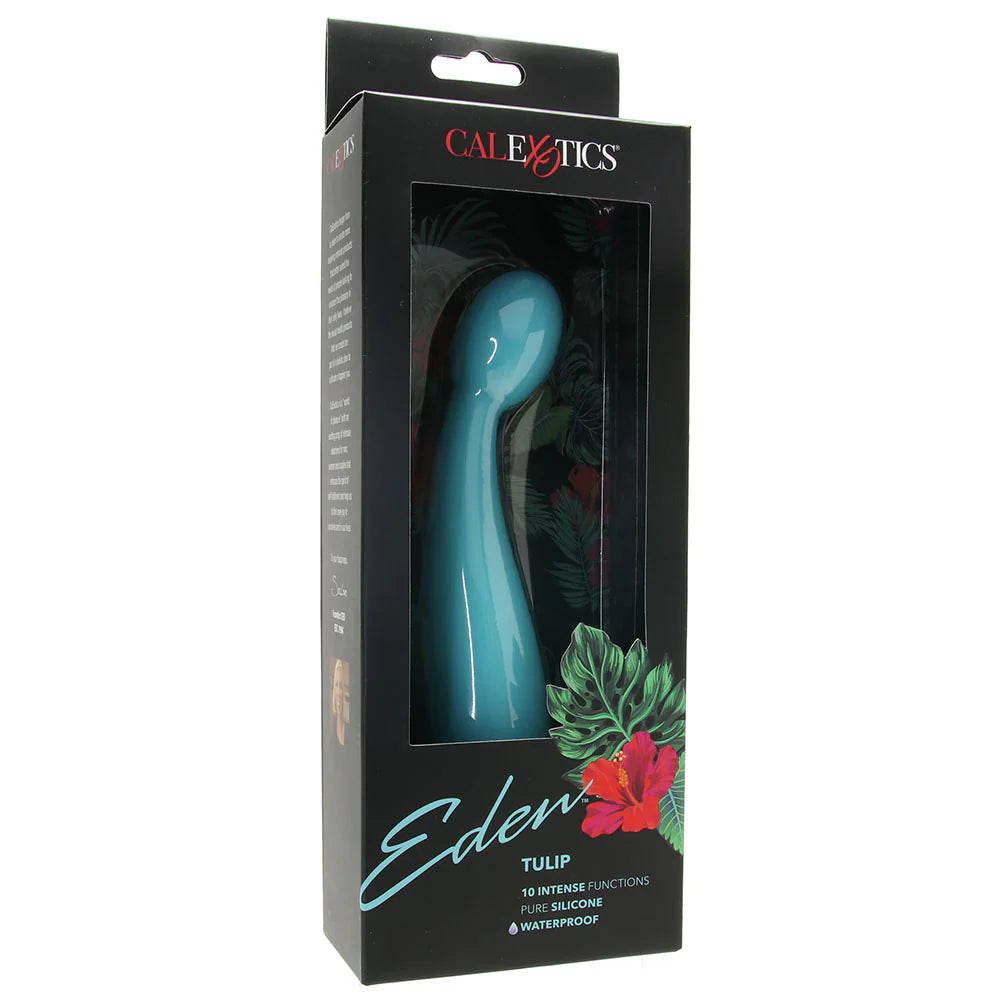 Eden Silicone Tulip Vibe in Teal — buy in Winnipeg | Heaven Boutique