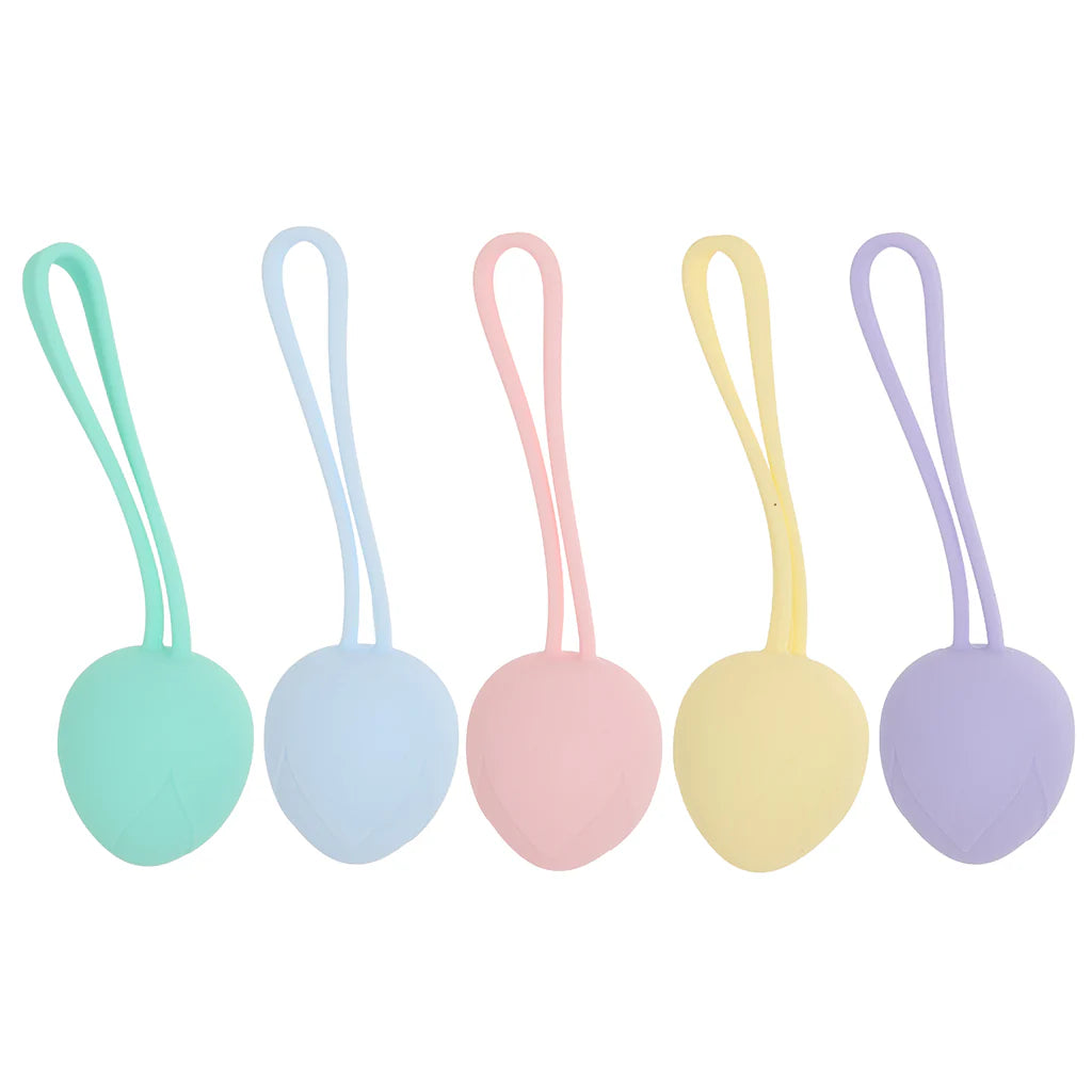 Loveline Pelvifit Berry Kegel Kit – Winnipeg adult store – close-up view