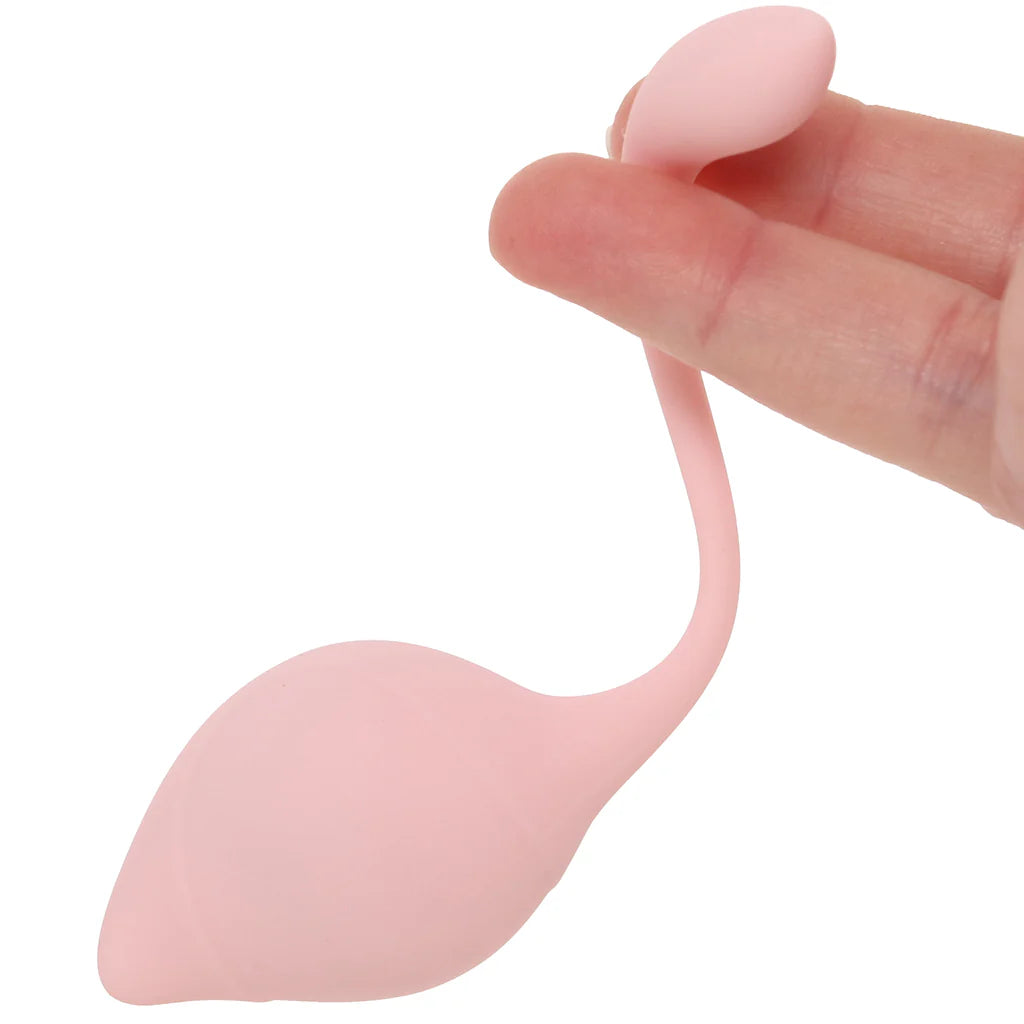 Loveline Pelvifit Stem Kegel Kit – Heaven Boutique Winnipeg – additional angle
