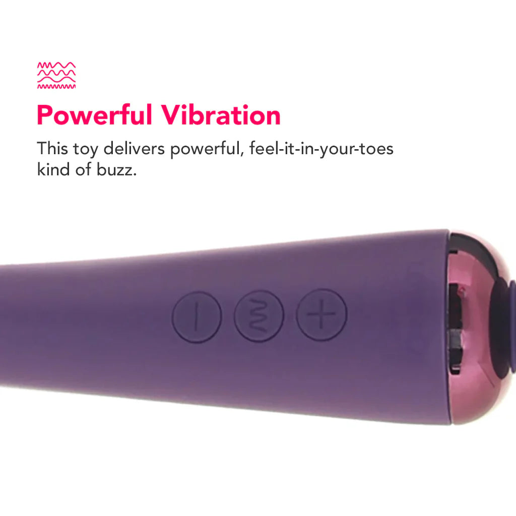 Love Distance Grasp App Controlled Wand – Winnipeg adult boutique – features