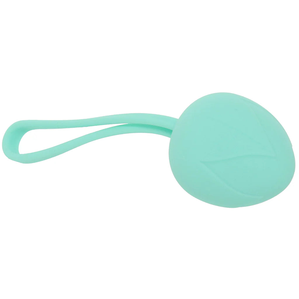 Loveline Pelvifit Berry Kegel Kit – Winnipeg adult shop – in use view